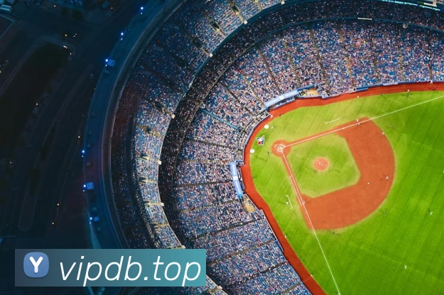 全网担保网全站App